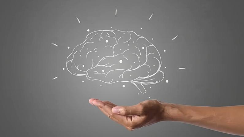 Estudantes se unem em projeto para investigar os mistérios do cérebro