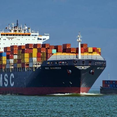 Biocombustível naval pode aprofundar pressão por terras e fome na África