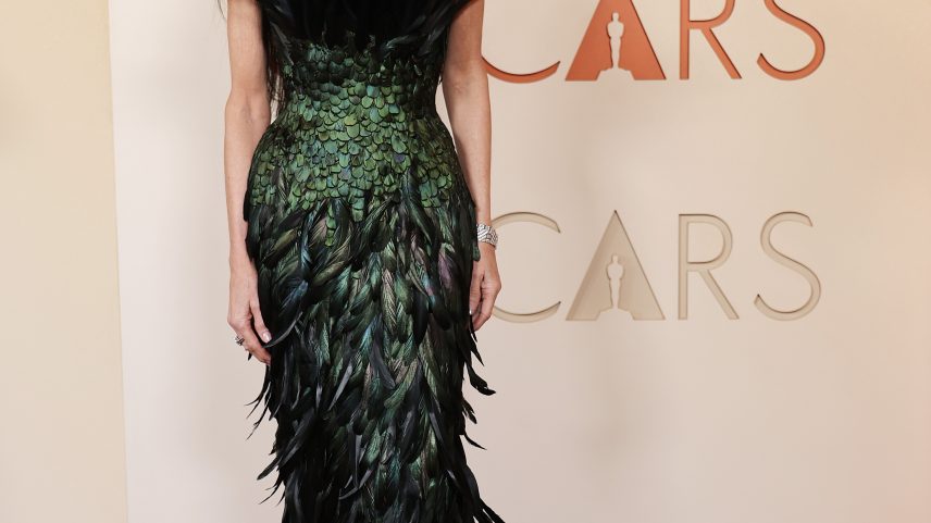 Demi Moore opted for a dramatic feathered Gucci gown at the 2026 Oscars.