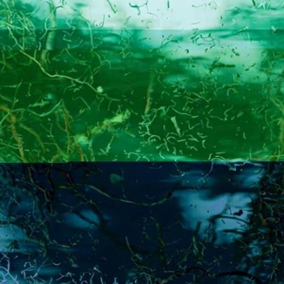 Nifty Gateway encerra operações, NFTs continuam em evolução