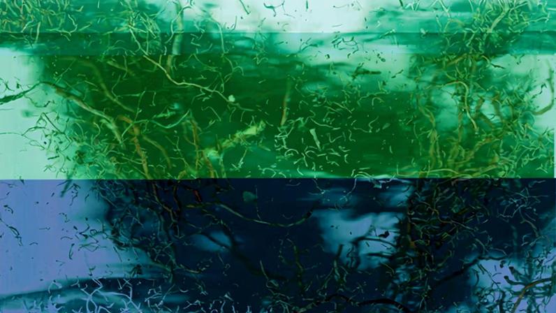 Nifty Gateway encerra operações, NFTs continuam em evolução