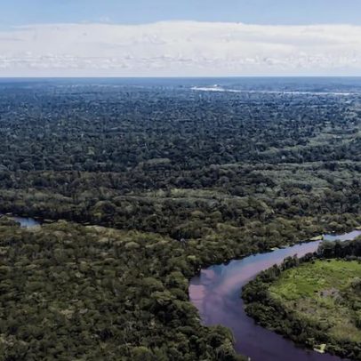 Ferrovias bioceânicas Peru-Brasil trazem riscos à Amazônia, alertam especialistas