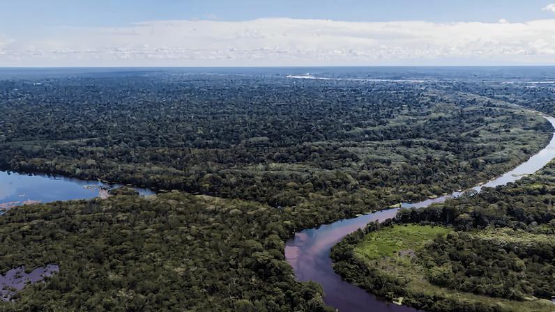 Ferrovias bioceânicas Peru-Brasil trazem riscos à Amazônia, alertam especialistas