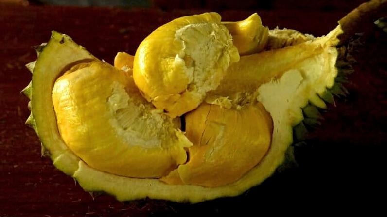 The yellow Banyumas Kromo durian has a rich, creamy taste