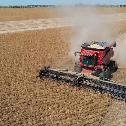 Agricultura eleva o PIB de 2025 em 11,7% segundo IBGE