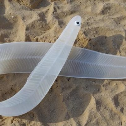 Oito presos em operação europeia contra redes de contrabando de enguias