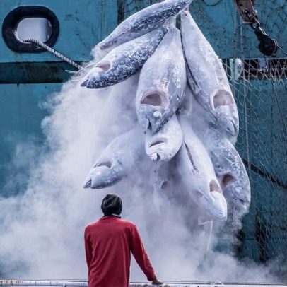 O custo oculto dos subsídios à pesca