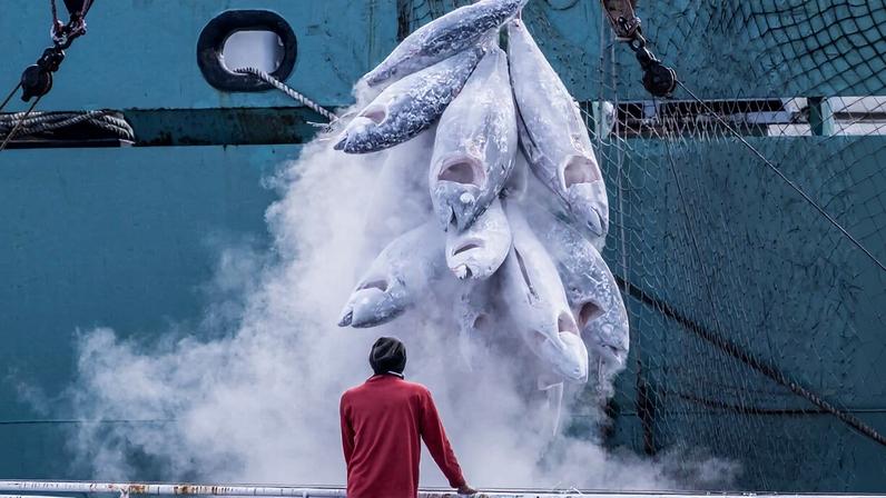 Frozen tuna are transferred from the Hung Hwa 202, a Taiwanese longliner, to the Hsiang Hao, a Panama-flagged reefer operating out of Tokyo, Japan, in the middle of the Atlantic Ocean. The Greenpeace ship Arctic Sunrise and crew are investigating distant water fishing fleet practices in the Mid-Atlantic during September and October 2019.