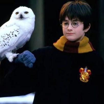 Harry Potter: série enfrenta pressão, mas é especial, diz executiva da HBO