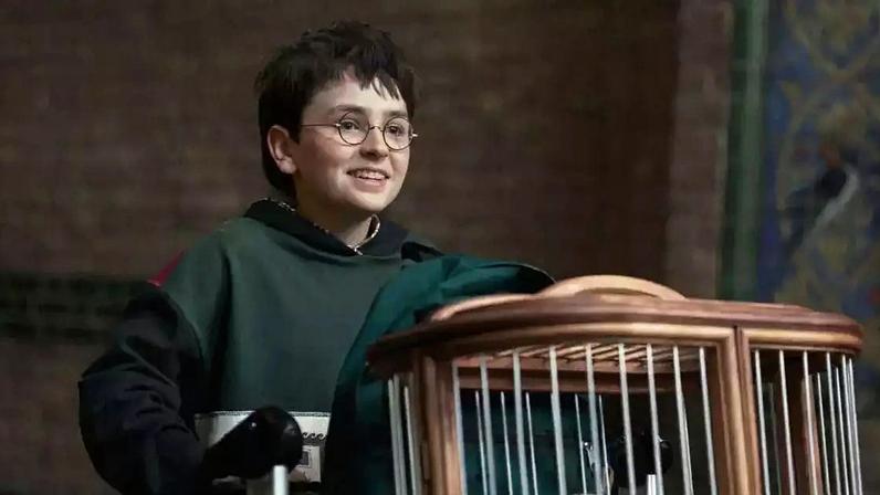 Harry Potter | 2ª temporada da série está sendo escrita, diz CEO da HBO