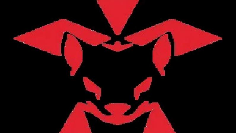 Hermine Esports Club