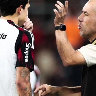 Jardim comenta reforços e repete frase de Jorge Jesus sobre Flamengo