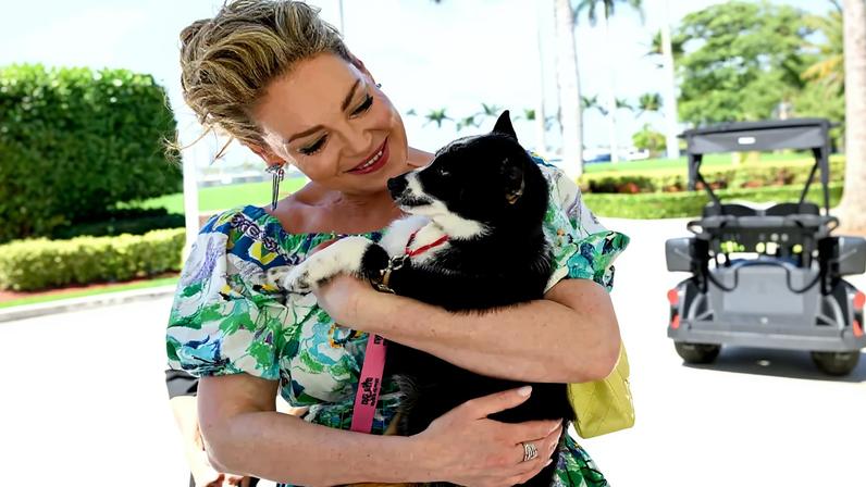 Katherine Heigl hit back at those criticizing her for attending the the Wine, Women & Shoes Event benefiting Big Dog Ranch Rescue fundraiser Sunday at Mar-a-Lago.