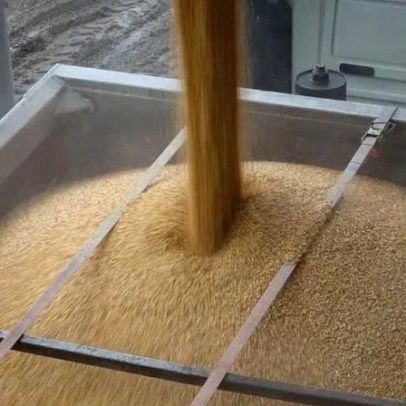 EUA reduzem plantio de milho; guerra no Irã eleva preços de fertilizantes