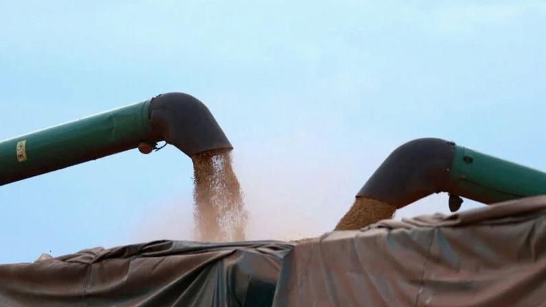 Exportação de soja do Brasil cai pela média diária em março