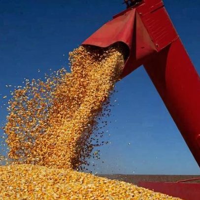 PIB cresce 2,3% em 2025, aponta IBGE