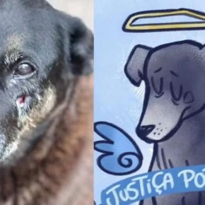 Governo anuncia decreto que endurece multas por maus-tratos a animais