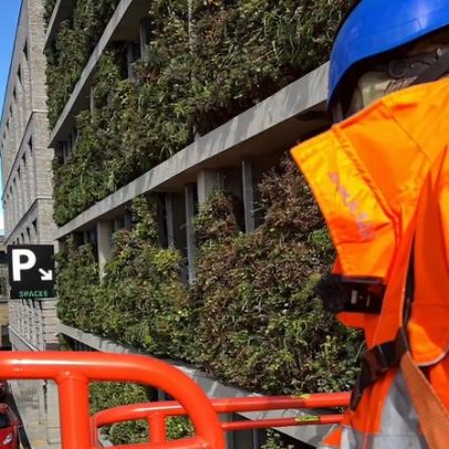 Parede viva cultivada para reduzir emissões de carbono