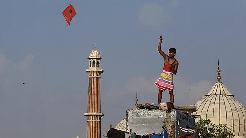 Milhares de pipas que enchiam os céus das cidades indianas estão desaparecendo