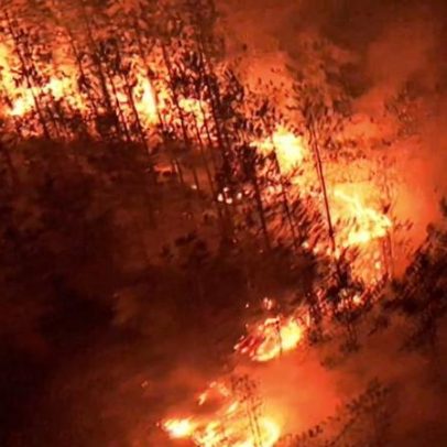 Incêndios em charnecas são tratados como suspeitos