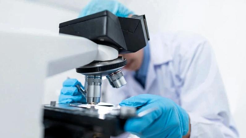 Foto: Chokniti Khongchum/Pexels