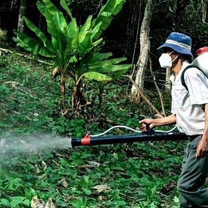Nações não cumprem metas da ONU 2030 para redução de riscos de pesticidas, aponta estudo