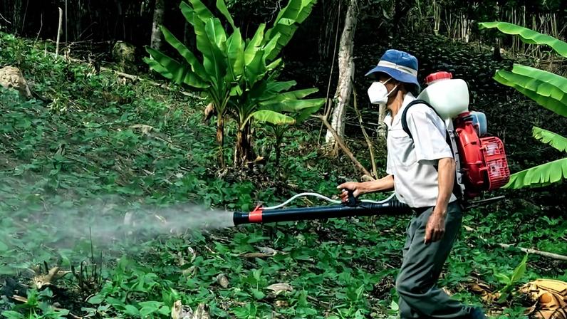 Nações não cumprem metas da ONU 2030 para redução de riscos de pesticidas, aponta estudo