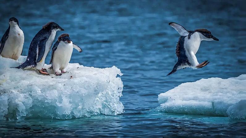 Chuvas chegam à Antártica, alterando o continente gelado