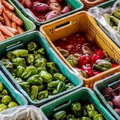 Brasil busca promover comida de verdade e saúde alimentar