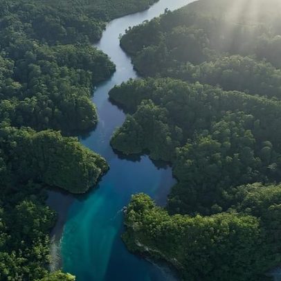 Conservação significativa exige verdade, não apenas fatos, diz ecólogo político