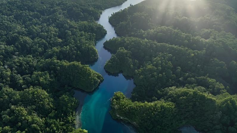 Conservação significativa exige verdade, não apenas fatos, diz ecólogo político