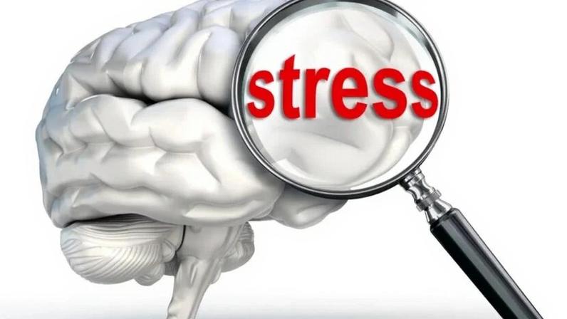 Estresse crônico no trabalho pode prejudicar o cérebro; saiba protegê-lo