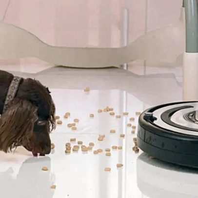 Serviço doméstico chinês adota robô de limpeza em parceria com humanos