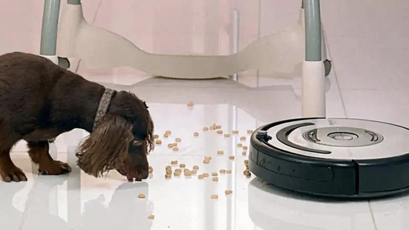 Serviço doméstico chinês adota robô de limpeza em parceria com humanos