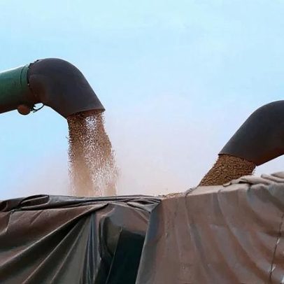 Colheita de soja no Brasil atinge quase 73% da área total