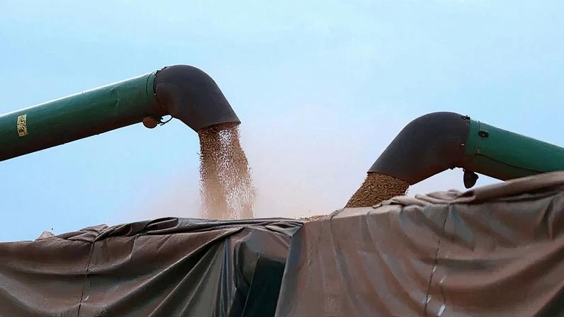 Colheita de soja no Brasil atinge quase 73% da área total