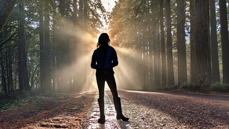 O preço emocional do trabalho de conservação