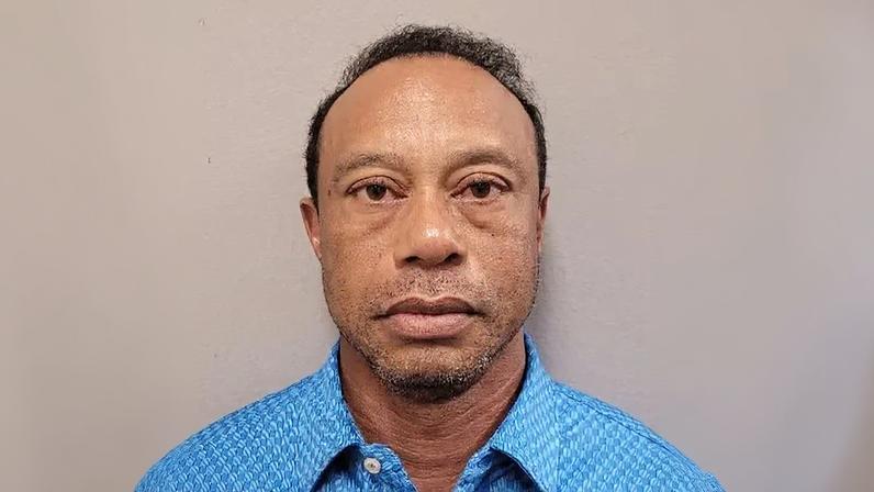 Mugshot of Tiger Woods.
