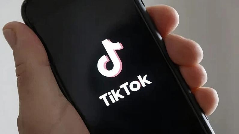 Pesquisa aponta brasileiros usando TikTok como ferramenta de estudo