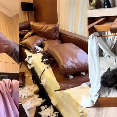 Cezar Black encontra sofá destruído pelo cachorro após plantão noturno