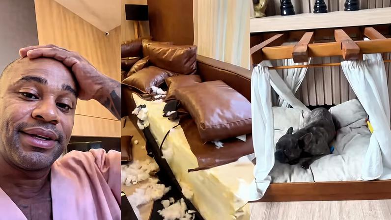 Cachorro de Cezar Black destrói sofá — Foto: Reprodução | Instagram