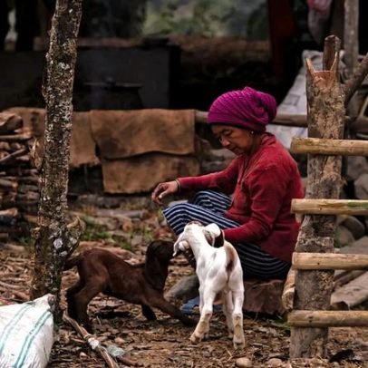 Mulheres rurais do Nepal sob risco crescente de conflitos com animais