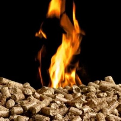 Grupos ambientais acusam empresa da UE de fraude em certificação de biomassa