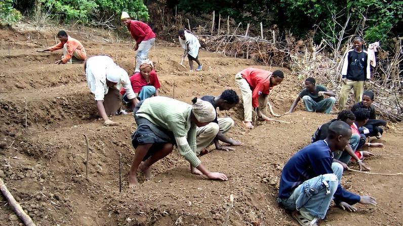 Quem cede terras para as soluções climáticas globais?