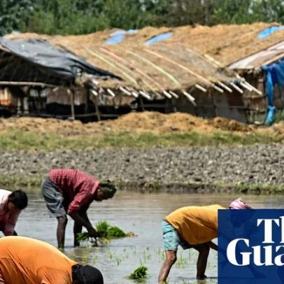 Índia enfrenta crise alimentar com escassez de fertilizantes em guerra no Irã