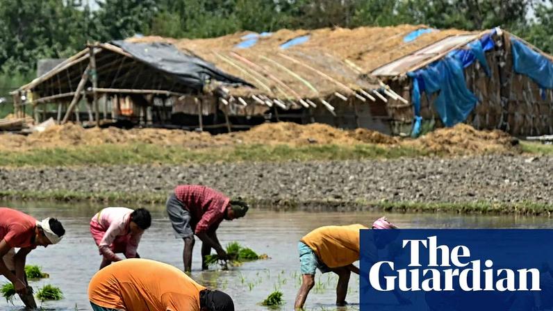 Índia enfrenta crise alimentar com escassez de fertilizantes em guerra no Irã