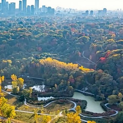 Plano de vigilância por IA em bairro de Toronto provoca discussão