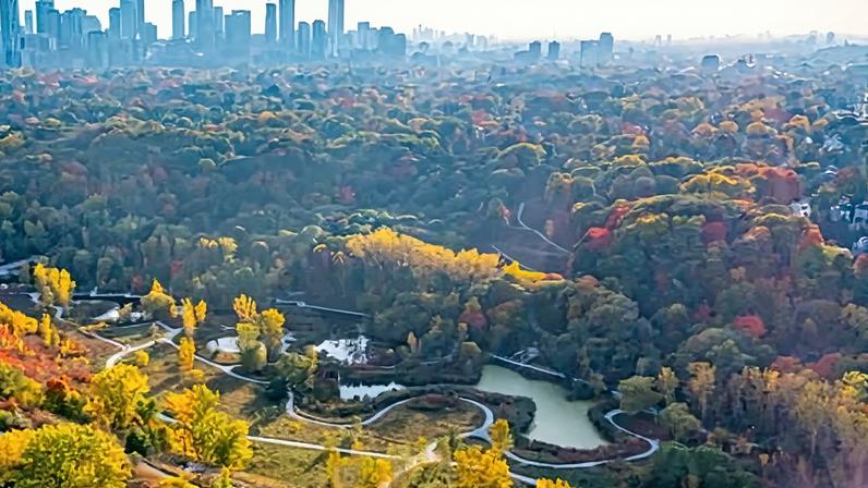Plano de vigilância por IA em bairro de Toronto provoca discussão