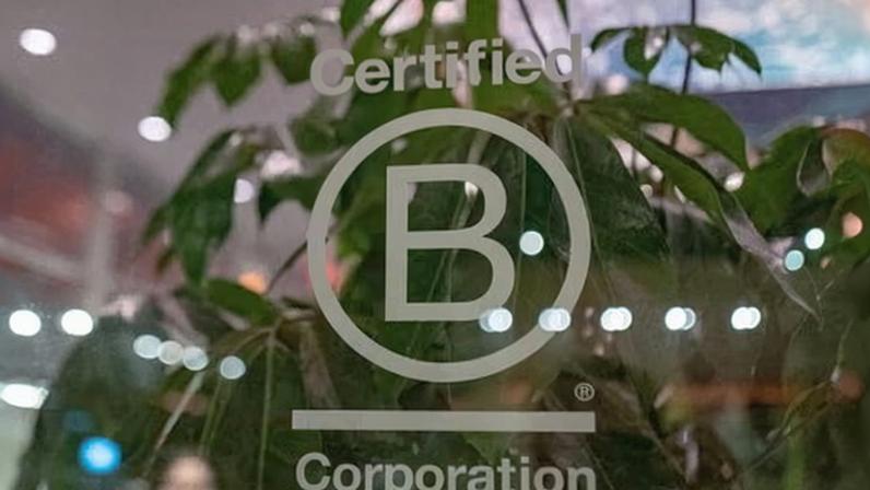 Dezenas de empresas podem perder status B Corp após revisão de padrões
