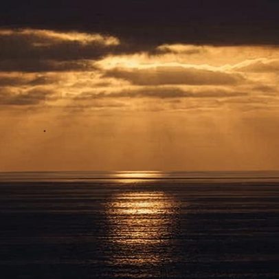 Calor oceânico recorde ao sul da Califórnia eleva temores de onda marinha